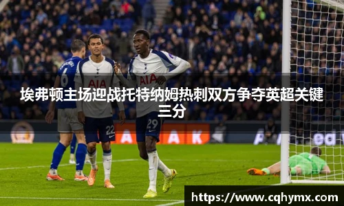 埃弗顿主场迎战托特纳姆热刺双方争夺英超关键三分